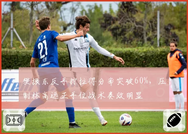 樊振东反手拧拉得分率突破60%,压制林高远正手位战术奏效明显