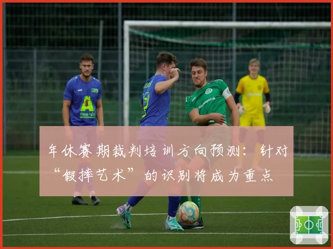 年休赛期裁判培训方向预测：针对“假摔艺术”的识别将成为重点