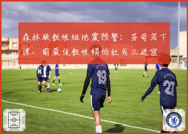 森林狼教练组地震预警：芬奇若下课，前最佳教练锡伯杜或三进宫